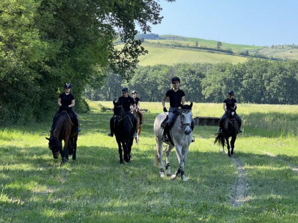 urbino horses Passeggiata