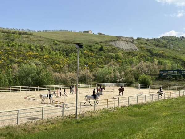 Maneggio Urbino Horses 2 Urbino Horses - Campo in sabbia