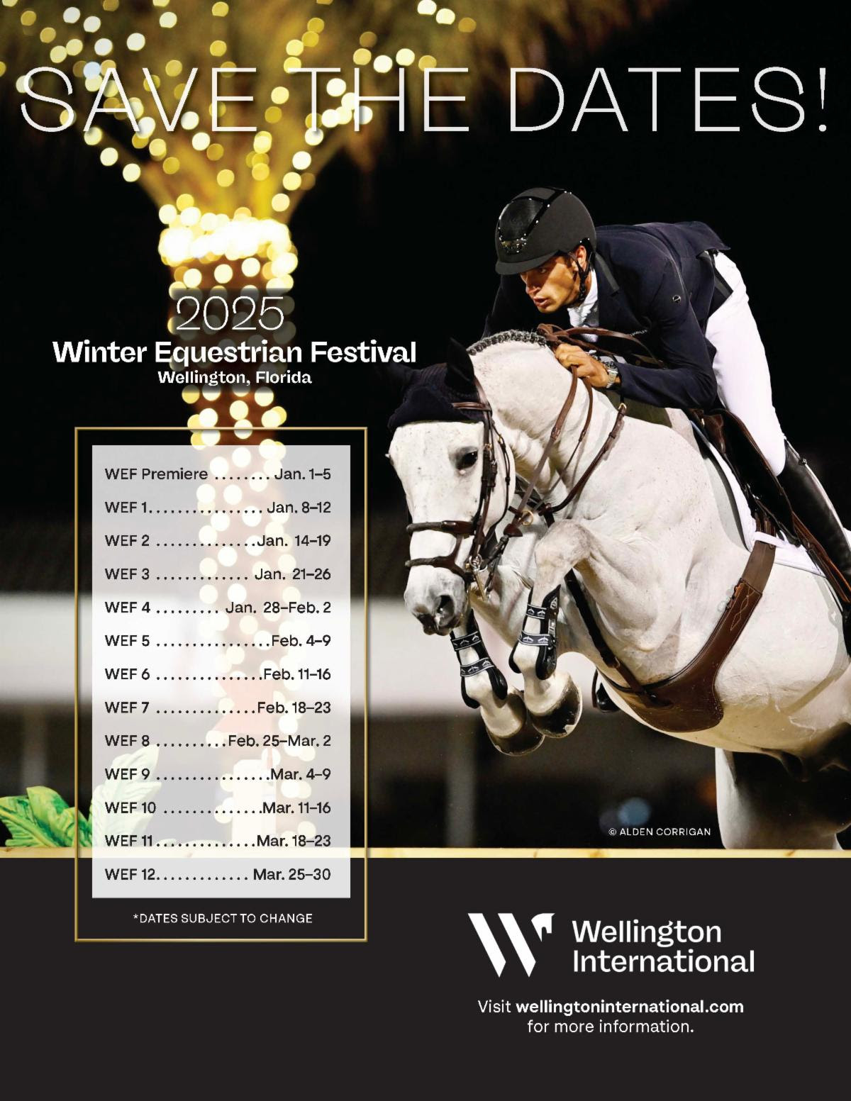 Annunciate le date del Winter Equestrian Festival 2025 1 Calendario WEF 2025