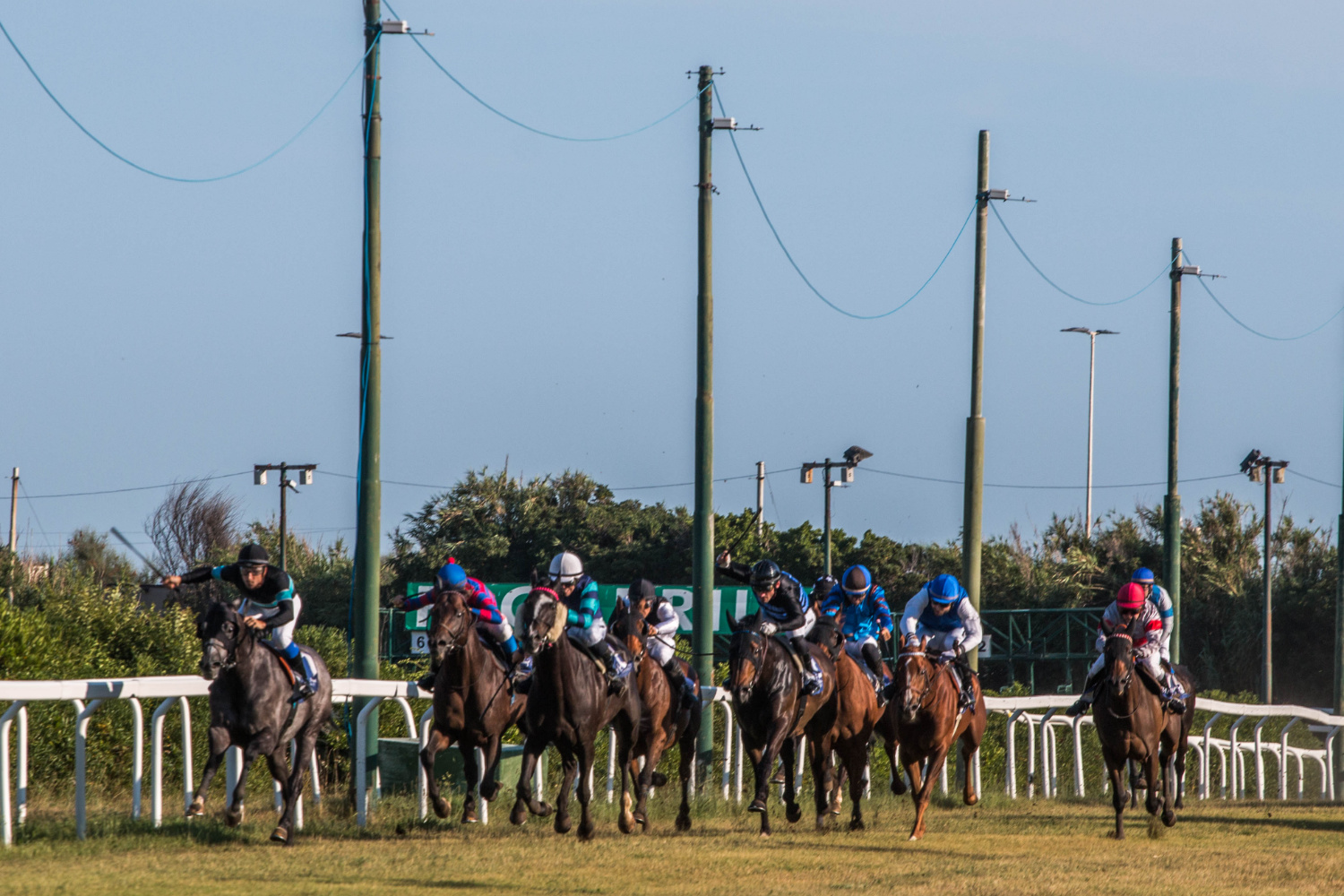 Attesa l’apertura della stagione estiva all’Ippodromo Federico Caprilli 5 Arrivo Caprilli