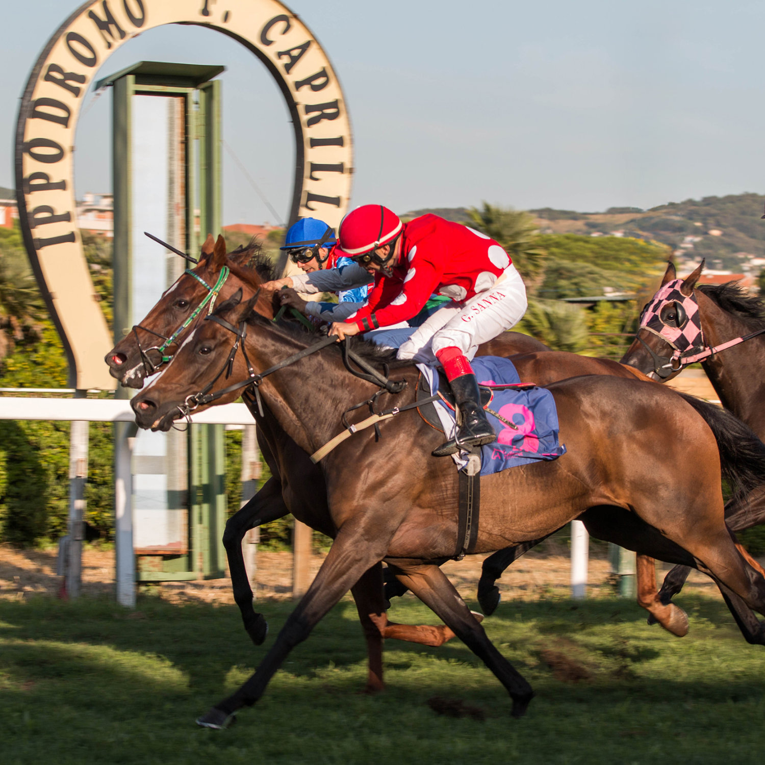 Attesa l’apertura della stagione estiva all’Ippodromo Federico Caprilli 2 Arrivo in foto