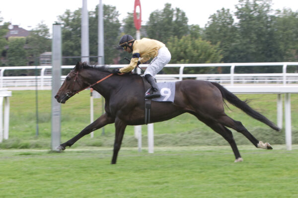 CORSA 3 PREMIO LOMBARDIA