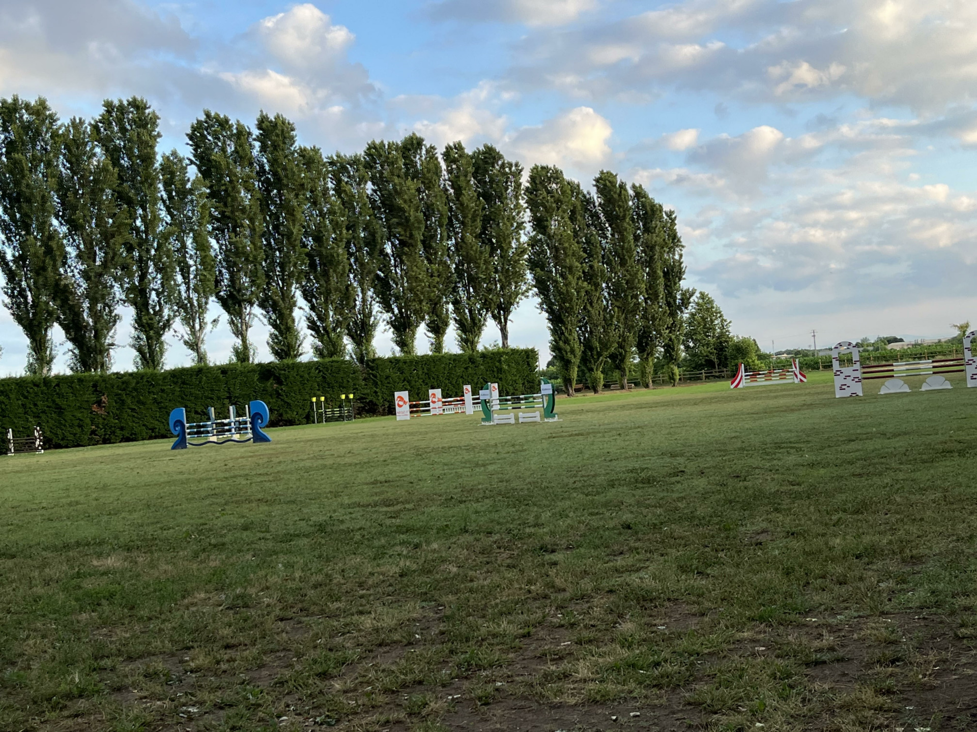 L’eleganza delle Scuderie San Giorgio: a Verolanuova si vive un’esperienza equestre unica 3 Campo in erba SSd San Giorgio 2