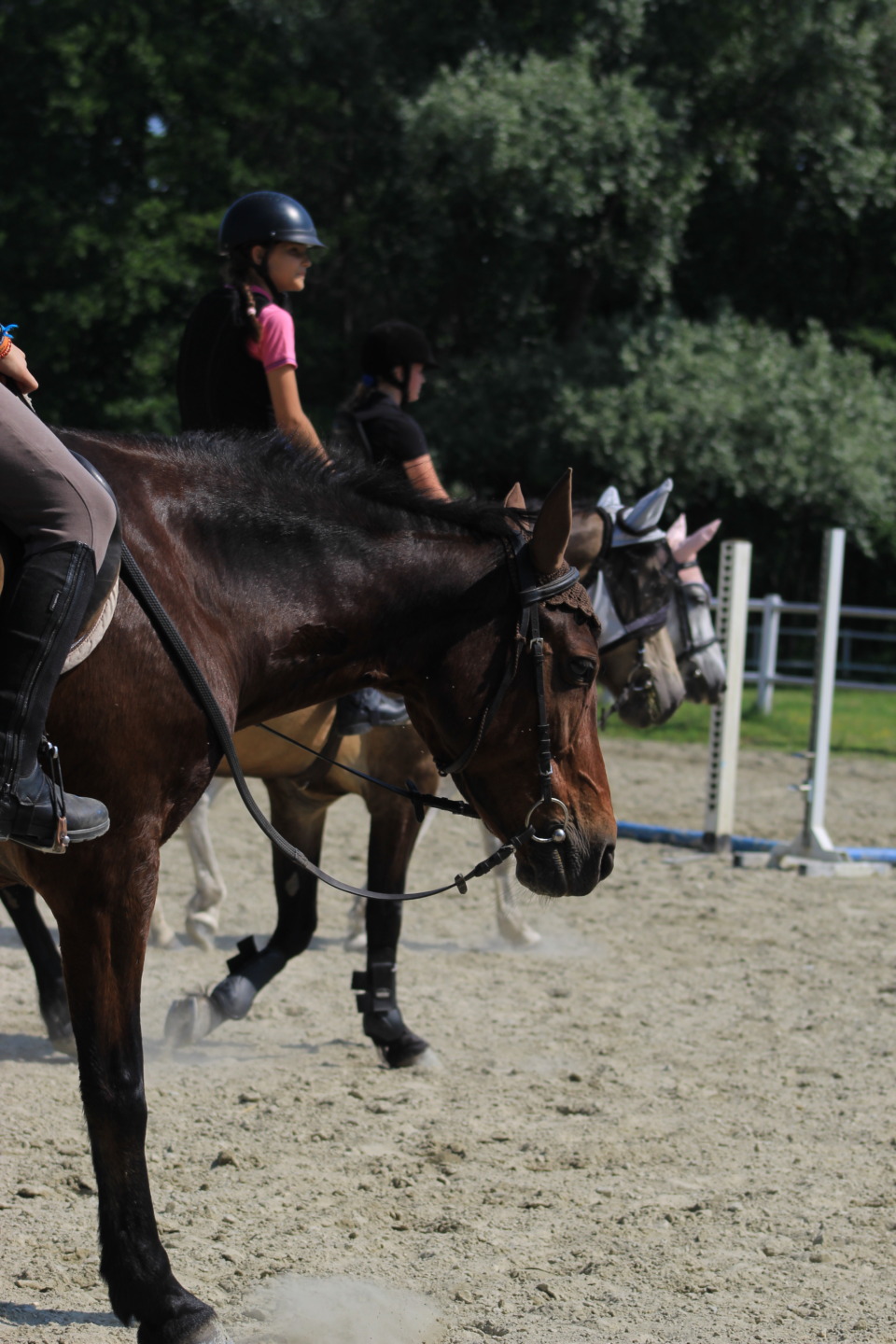 Esercizi e attività ludiche equestri di avviamento allo sport 3 Children and ponies