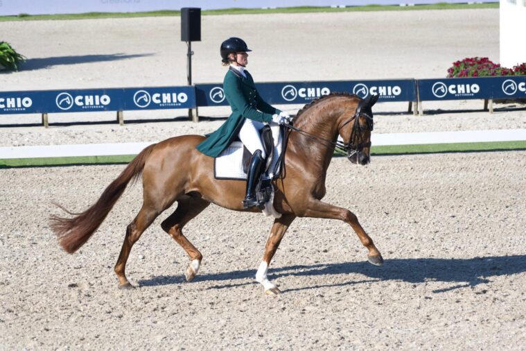 Dinja van Liere trionfa nella prima giornata di dressage al CHIO Rotterdam 2024 1 Dinja van Liere Hartsuijker at CHIO Rotterda