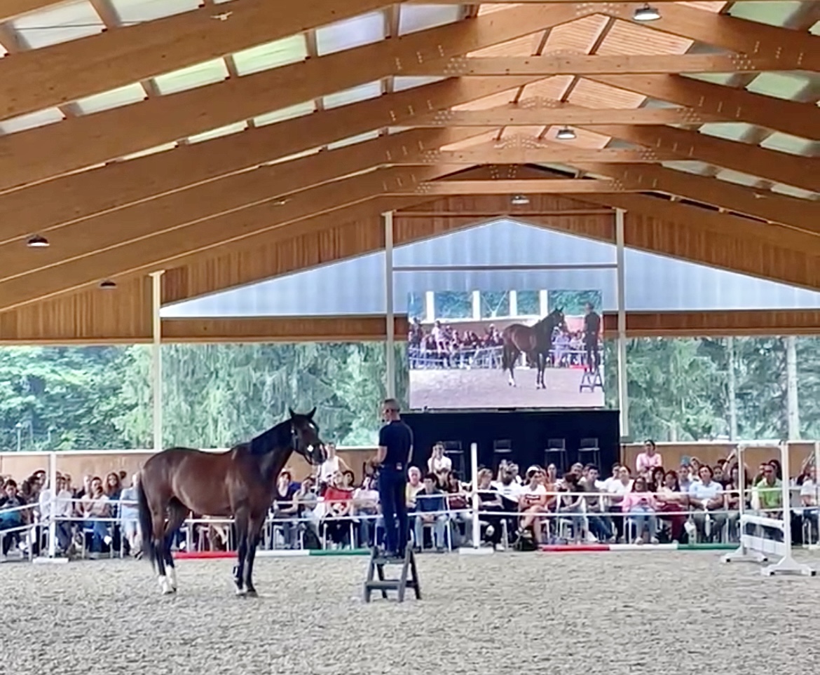 Horse WESP 2024: verso l’equitazione del futuro 1 IMG 6932 1