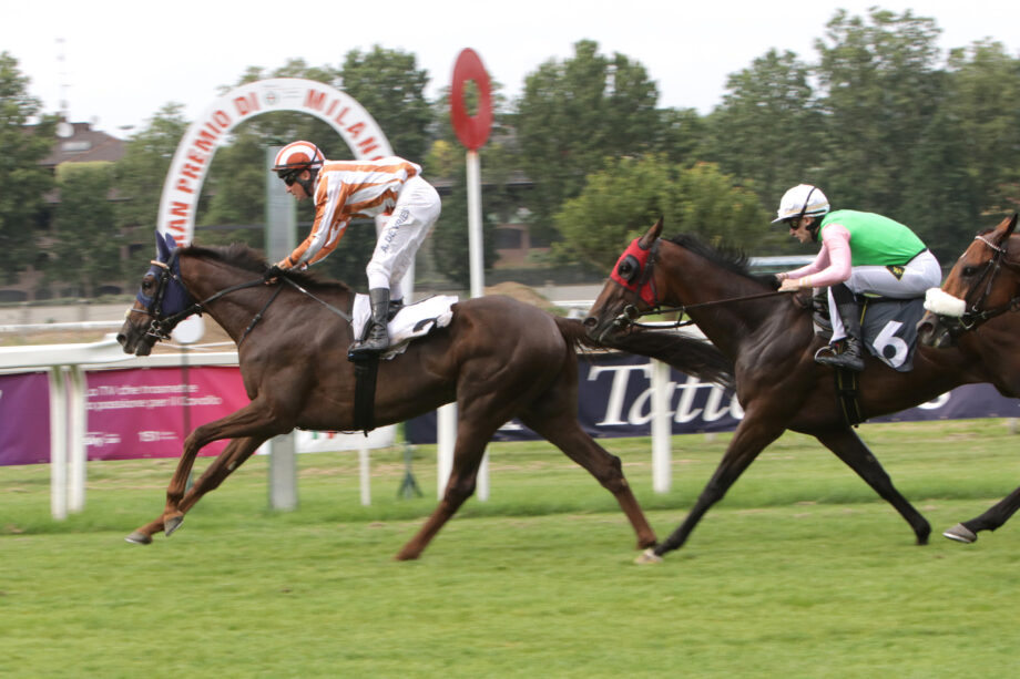 Ippodromo SNAI San Siro durante il Premio Carlo Vittadini
