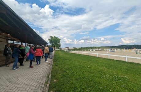 EUnetHorse convegno Workshop allevatori equini 2024