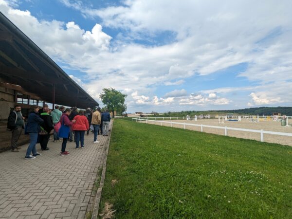 EUnetHorse convegno Workshop allevatori equini 2024
