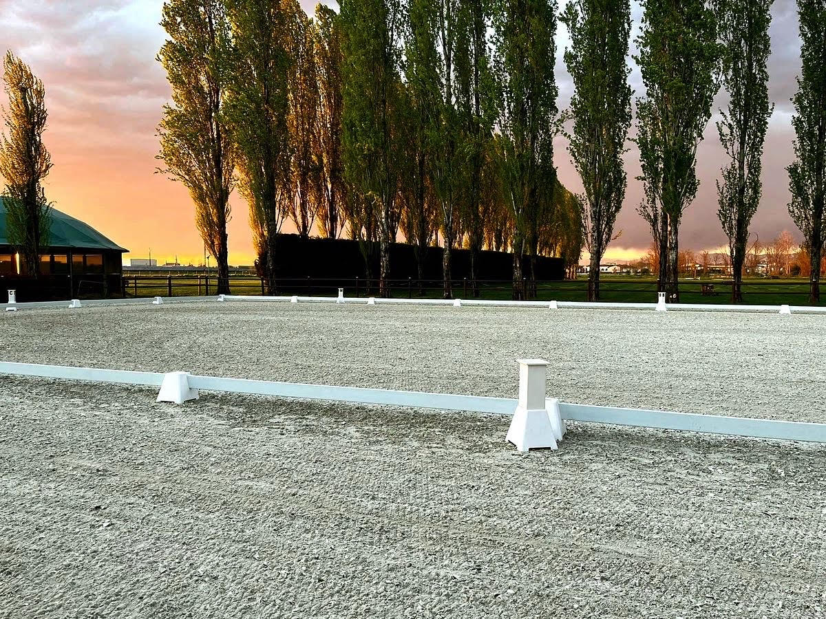 L’eleganza delle Scuderie San Giorgio: a Verolanuova si vive un’esperienza equestre unica 4 SSD San Giorgio campo da dressage
