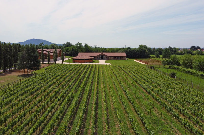 Vill’Arquata: l’armonia che lega la passione per i cavalli e per il vino 6 Villarquata 2