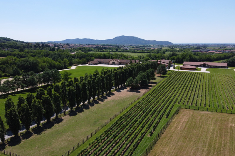 Vill’Arquata: l’armonia che lega la passione per i cavalli e per il vino 3 Villarquata 3