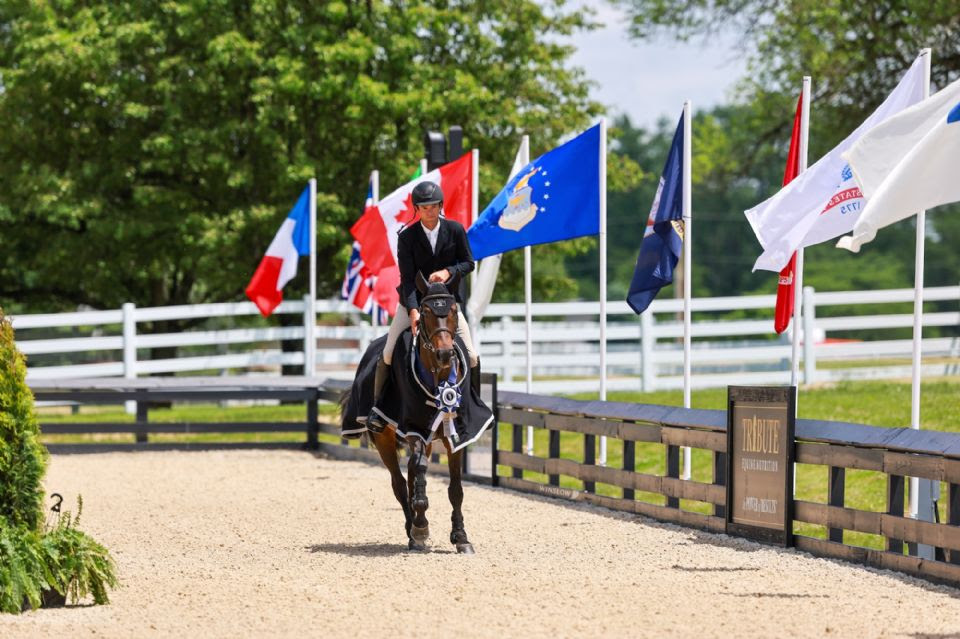 Le Summer Series 2024 del World Equestrian Center di Wilmington 1 WEC Wilmington 2024 Summer Series