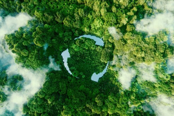 Foresta con simbolo della sostenibilità