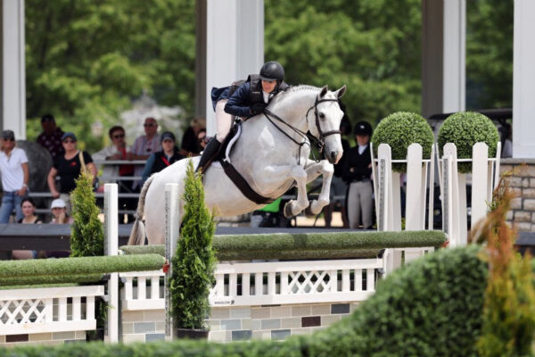 Hunter Classic Wilington, OH,
