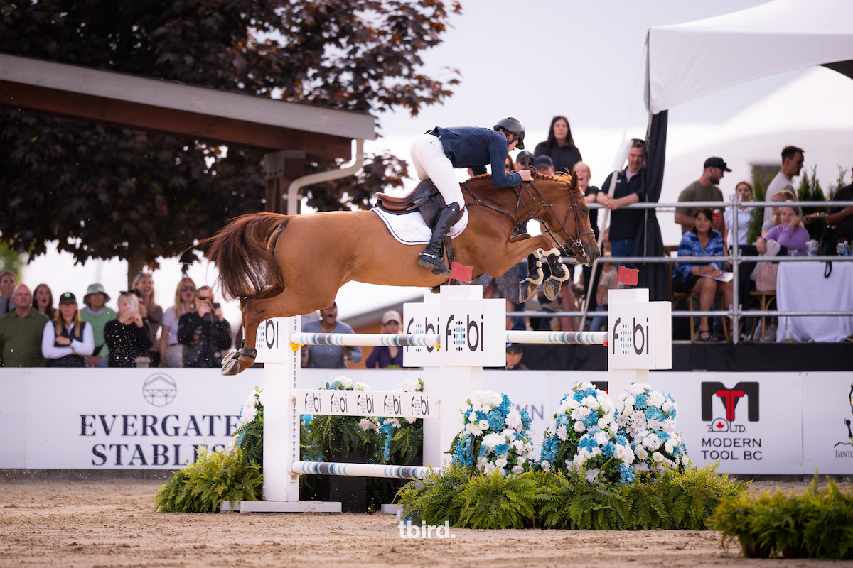 Thundibird Show Park: William Martin si impone nel CSI4* 1,50 m 1 unnamed117