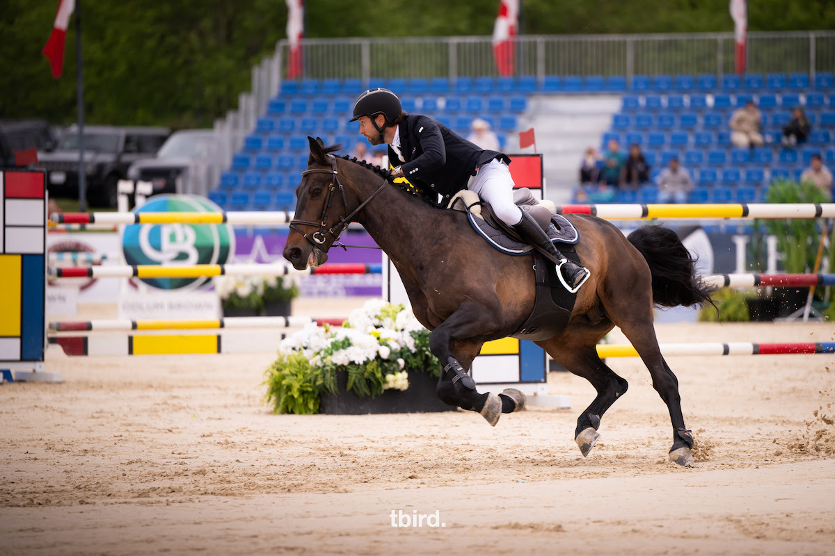 Thunderbird Show Park, Chawke fa doppietta nel CSI4* 1,45 m. 1 Thinderburd - Chakie seconda vittoria
