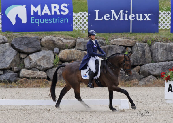 Mars Bromont completo CCI4* 2024