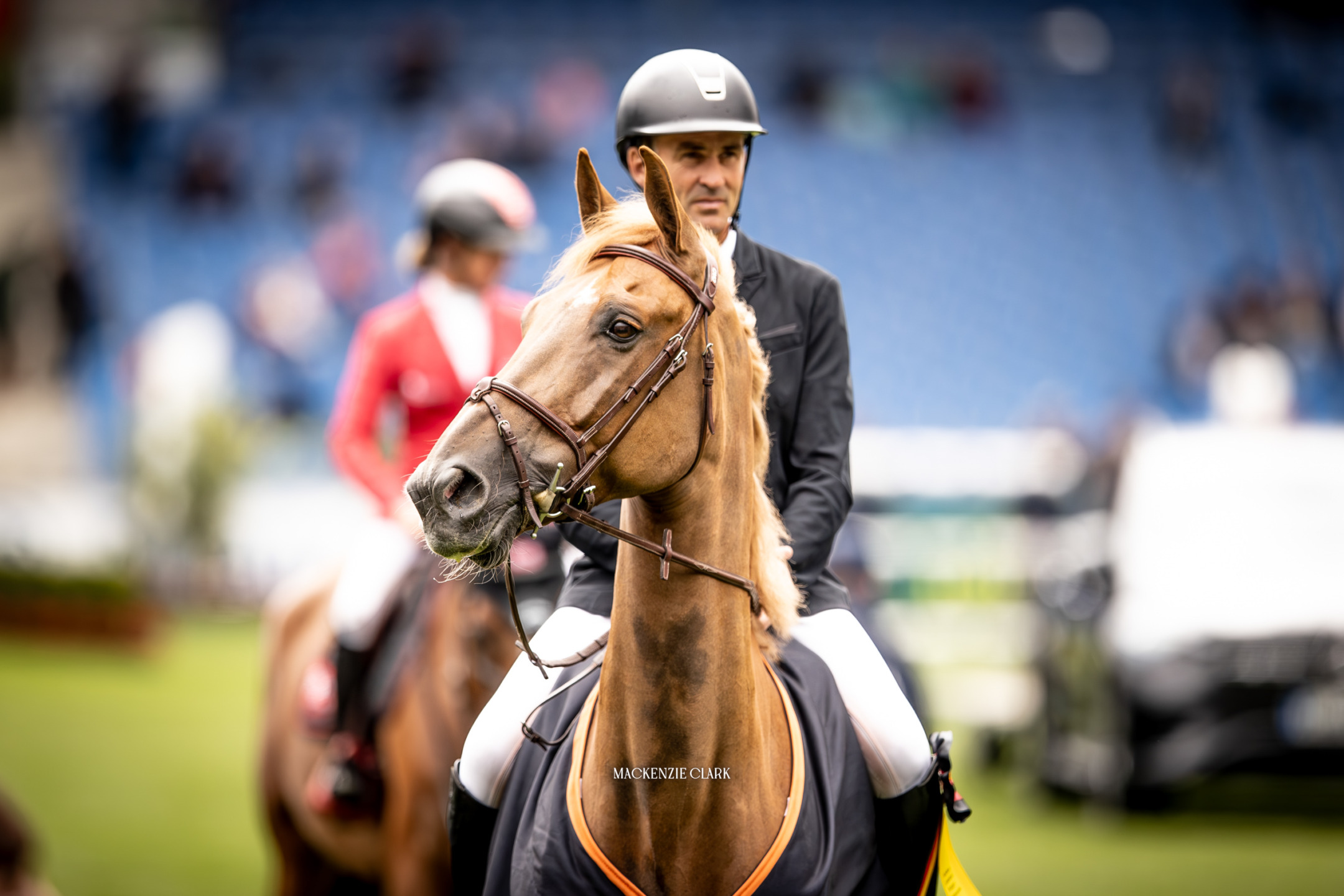 CHIO Aachen: vittoria di Francois Xavier Boudant nella STAWAG 1.45 m 1 Francois Xavier Boudant in sella a Egoki