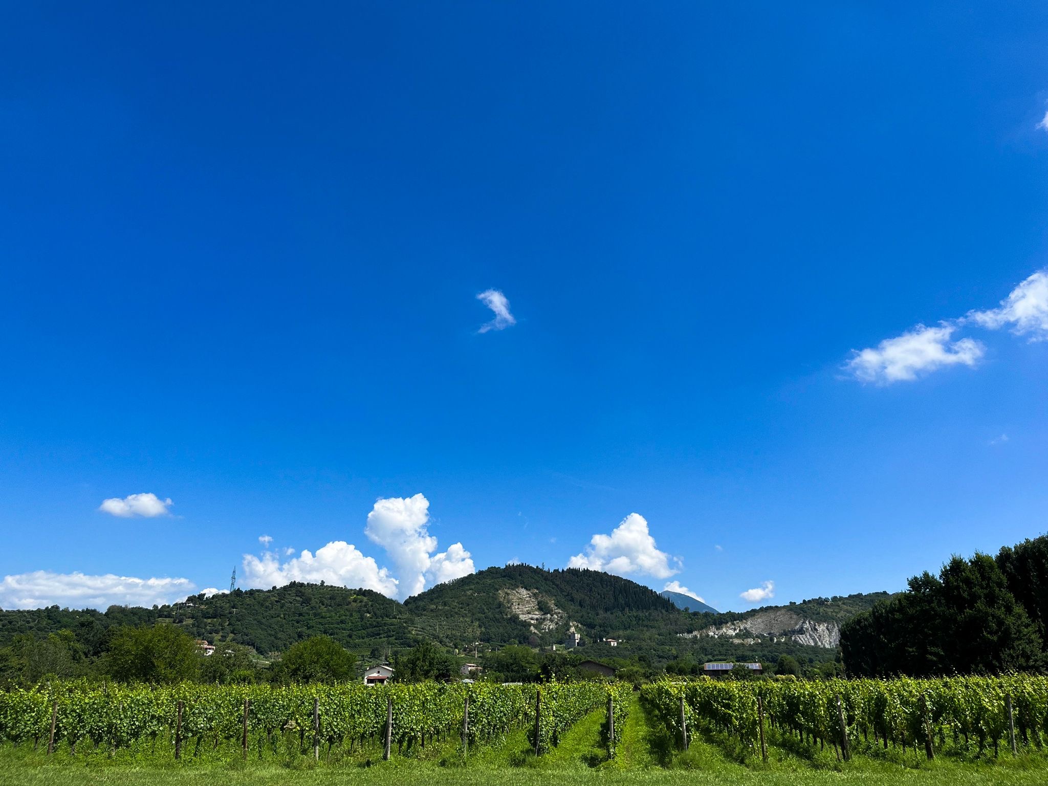 La Barbatella, un centro equestre tra le vigne della Franciacorta 2 86106551 c533 42f8 bdfa 8361b2f25477