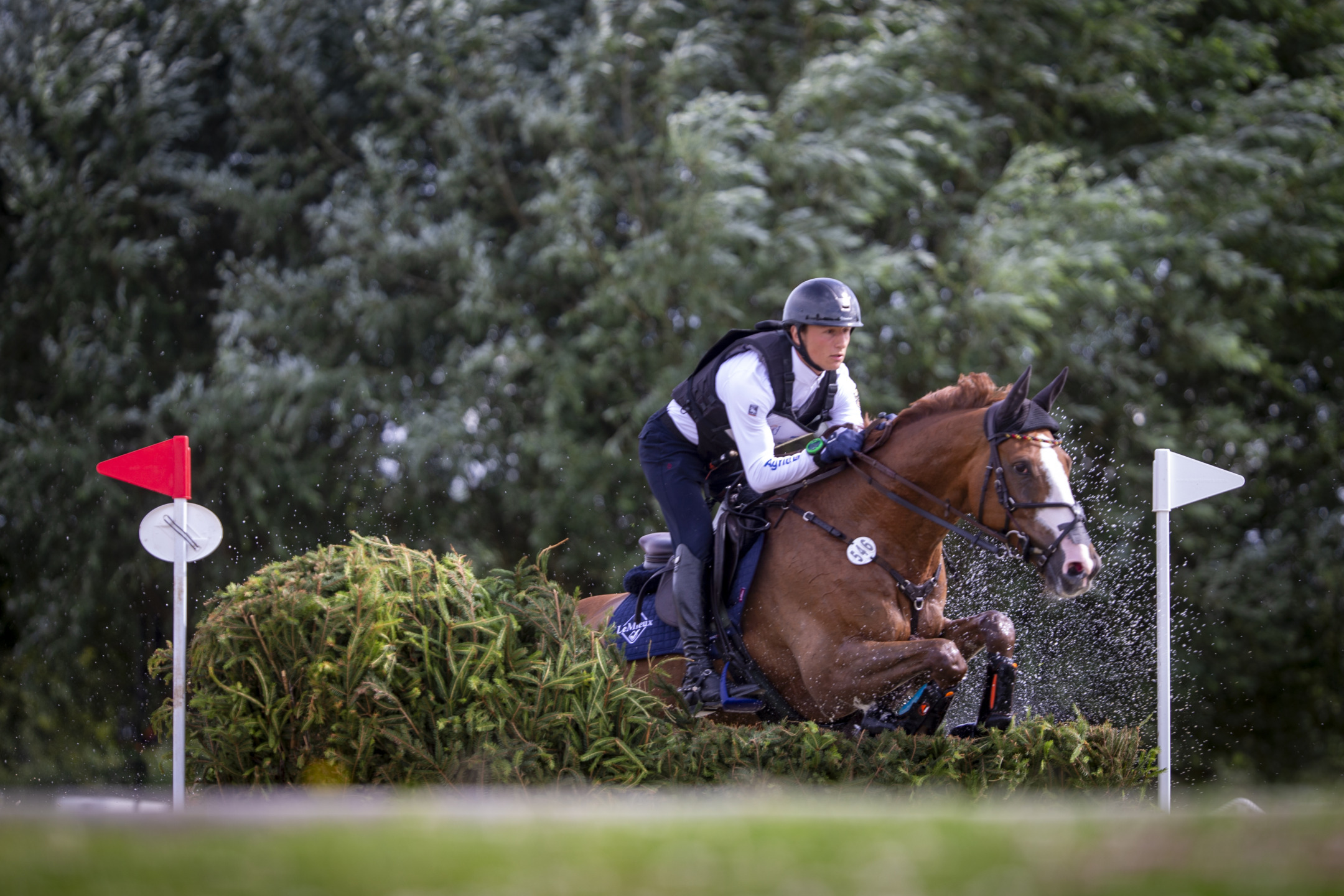 Julia Krajewski selezionata come riserva dopo il weekend al CHIO Aachen 2 BOCKMANNCalvin The Phantom of the Opera Aachen 20240706 SS7 2527