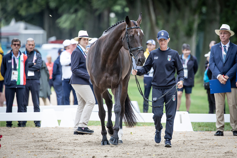 Parigi 2024: Completo, i cavalli dell'Italia superano l'ispezione preliminare 1 Evelina Bertoli (ITA) on Fidji Des Melezes, Parigi 2024 Olympic Games, Team Italia ispezione veterinaria preliminare