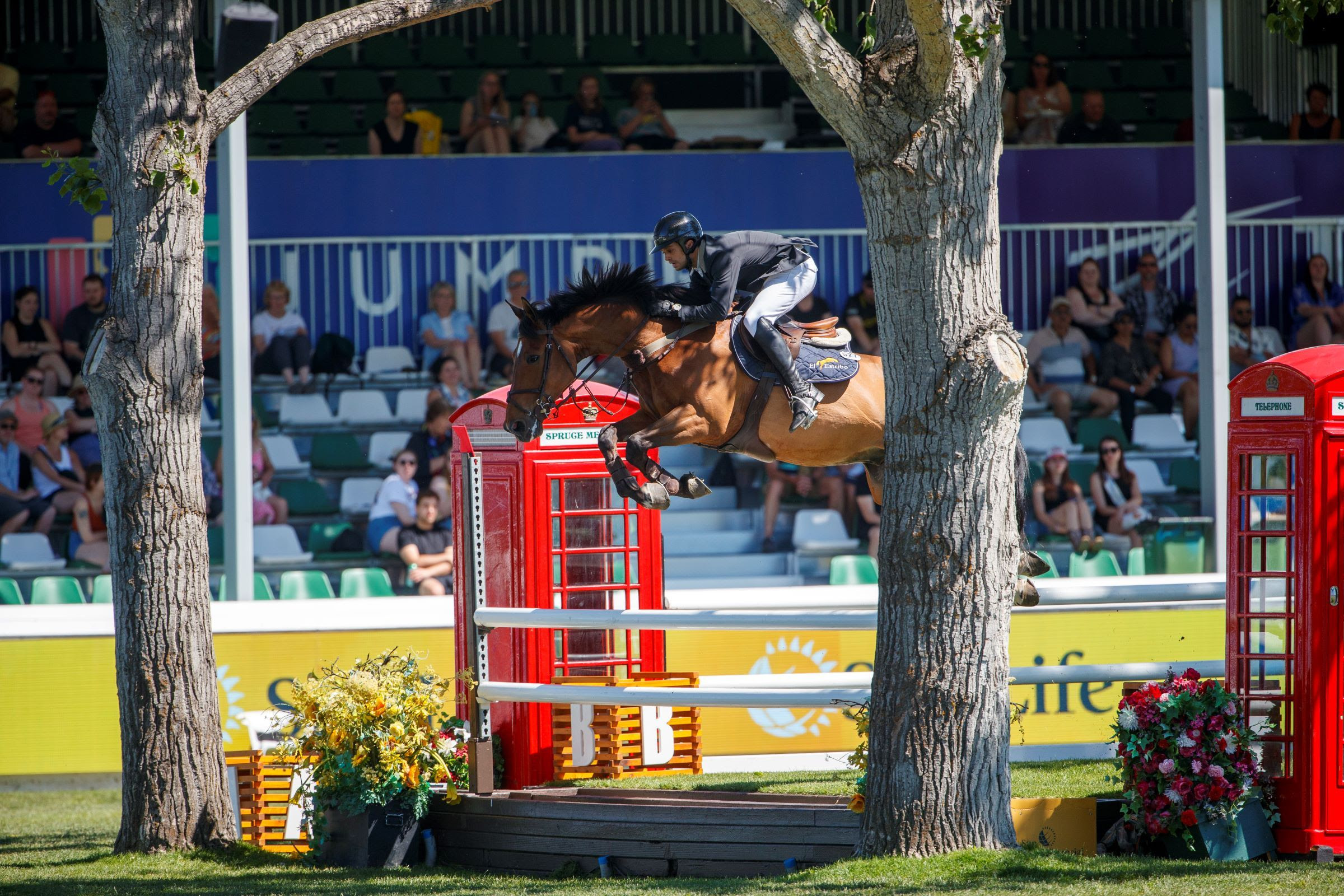 Manuel Gonzalez trionfa nel Sun Life Derby a Spruce Meadows 1 IMG 7239