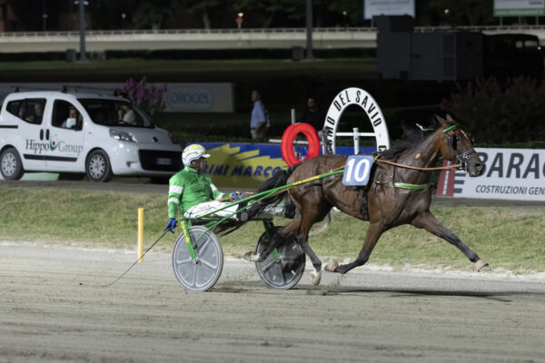 Ippodromo Cesena, trotto: resoconto delle corse di martedì 5 Ippodromo Cesena Trotto