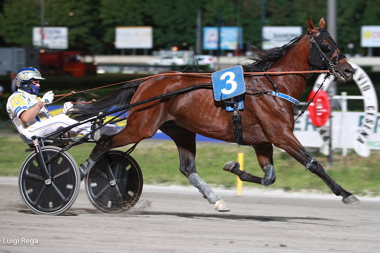 Ippodromo di Cesena: il Gran Premio Riccardo Grassi 1 ippodromo di cesena