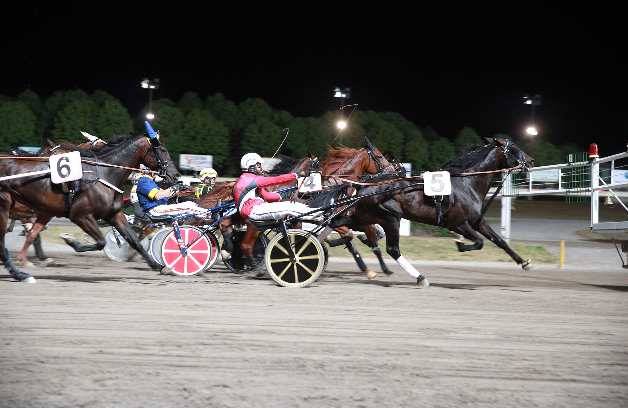 Ippodromo Cesena, Trotto: Premio Equos 1 Ippodromo Cesena trotto