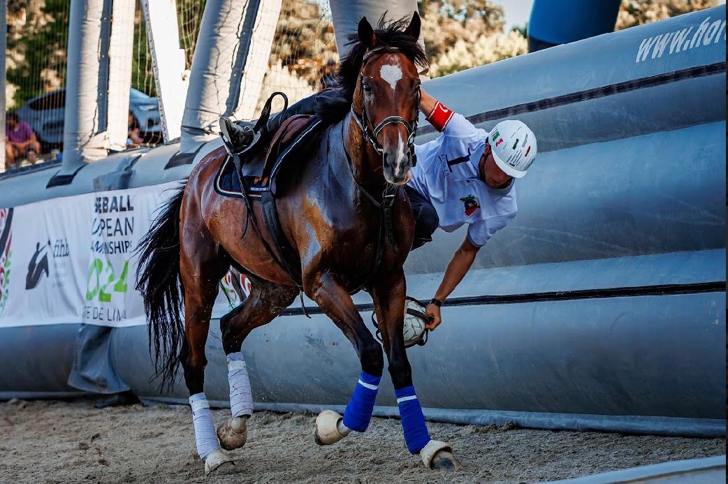 Luca Lanzi: The Future of Italian Horseball Between Passion, Adrenaline, and Success 1 18cae3b0 9a4a 4fee bfef 7efb44a5830d