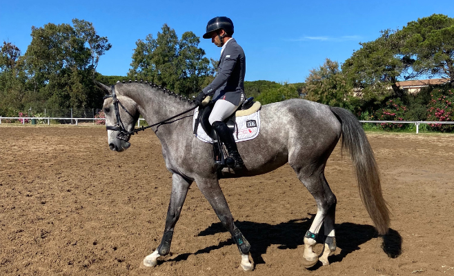 Il ruolo degli antiossidanti nell’alimentazione del cavallo 2 4