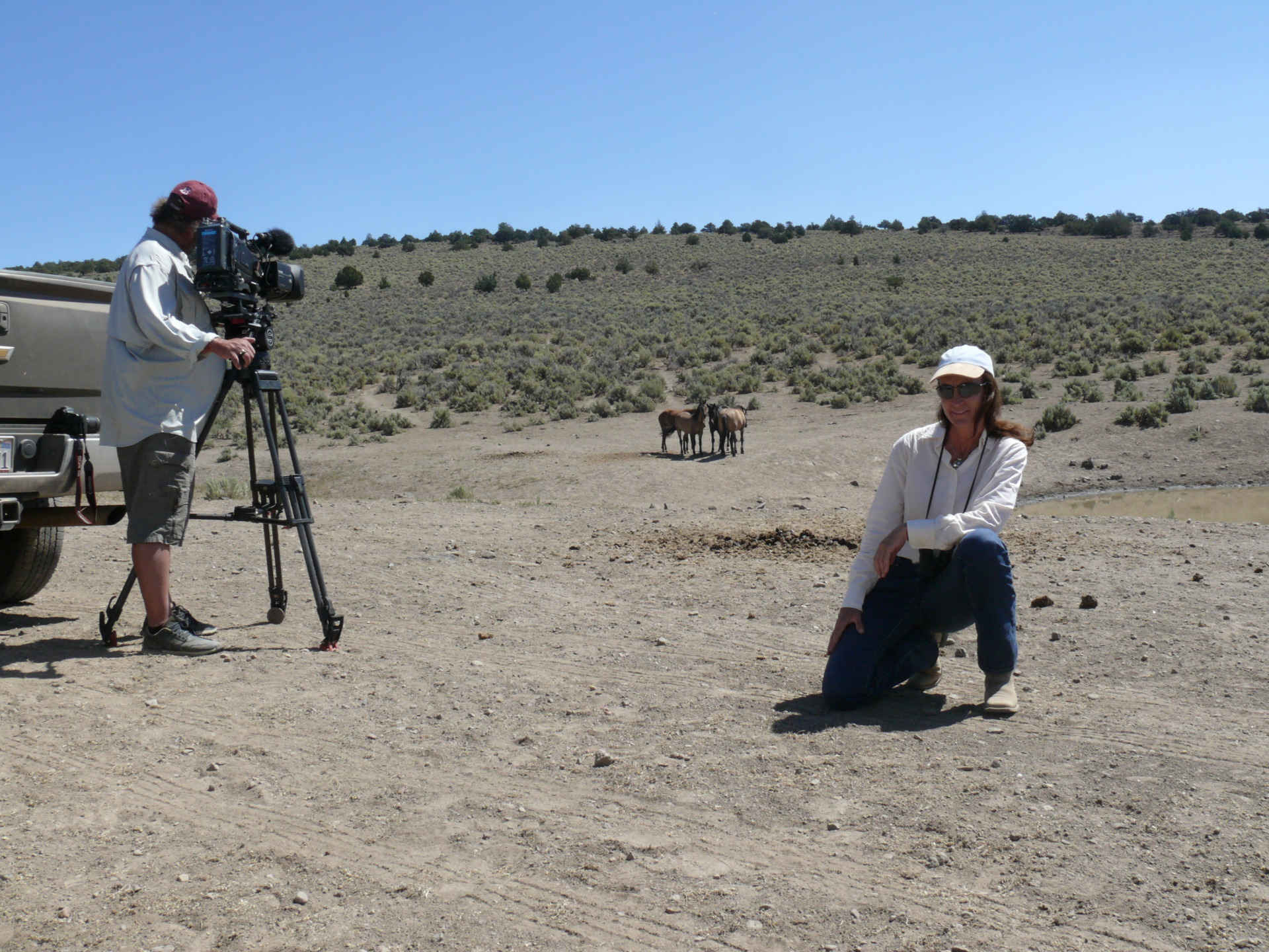 Benessere e comportamento del cavallo: l’approccio innovativo di Animantia 3 ELena in Documentario Wild Mustang 2019 2