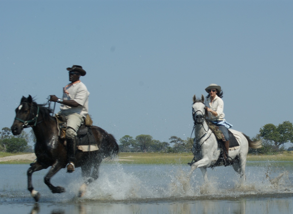 Benessere e comportamento del cavallo: l’approccio innovativo di Animantia 6 Elena nellOkavango