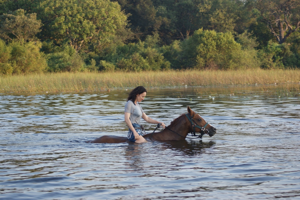 Benessere e comportamento del cavallo: l’approccio innovativo di Animantia 1 Elena Bajona in sella ad un cavallo arabo mentre fanno il bagno insieme nel fiume in Okavango