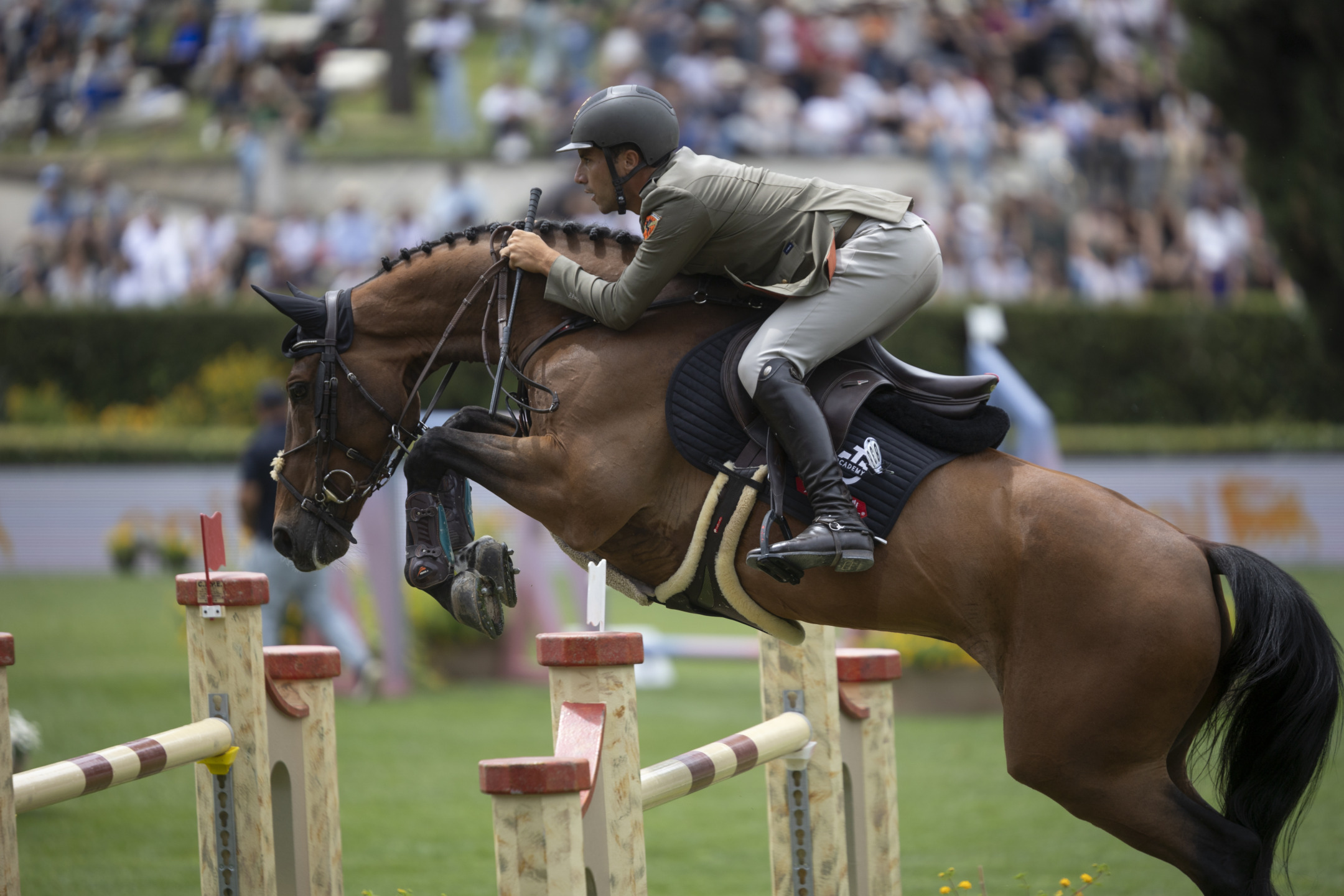 CSI2* Le Siepi Cervia, vittoria di Guido Franchi. 1 Guido Franchi con Enjoy One a cervia vince il CSI2* 2024.
