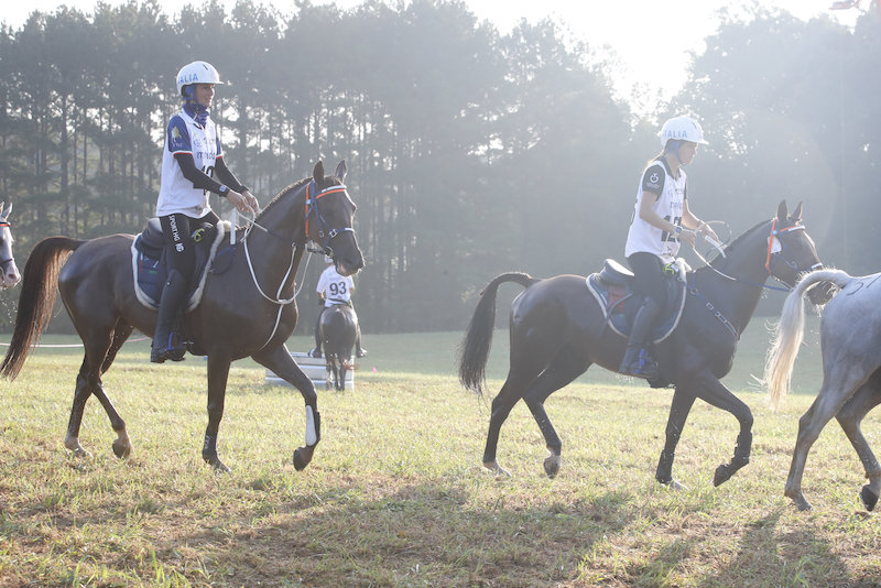 Piazzamenti azzurri nell'internazionale di Endurance a Jullianges 1 IMG 8007