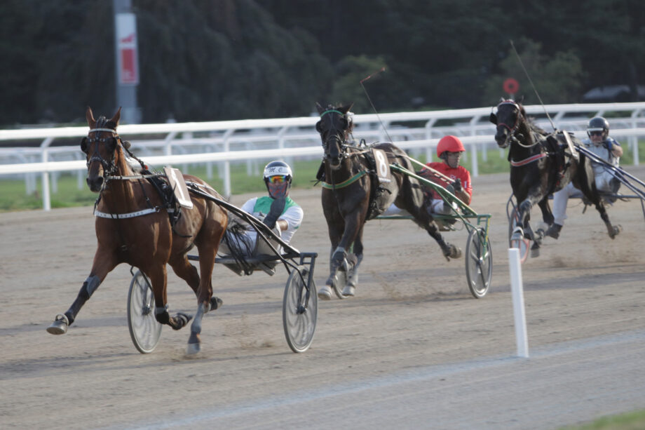 Giovedì sera all'Ippodromo SNAI San Siro con la 24^ giornata di trotto a partire dalle ore 20,25. L’impianto milanese di piazzale dello Sport 6 ospita una nuova riunione di trotto l’8 agosto. 2 IPPODROMO SNAI SAN SIRO MILANO TROTTO Foto Dena Snaitech