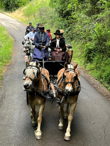 Inclusione e tradizioni in primo piano alla 54ª Mostra Nazionale del Cavallo 4 Paradriving