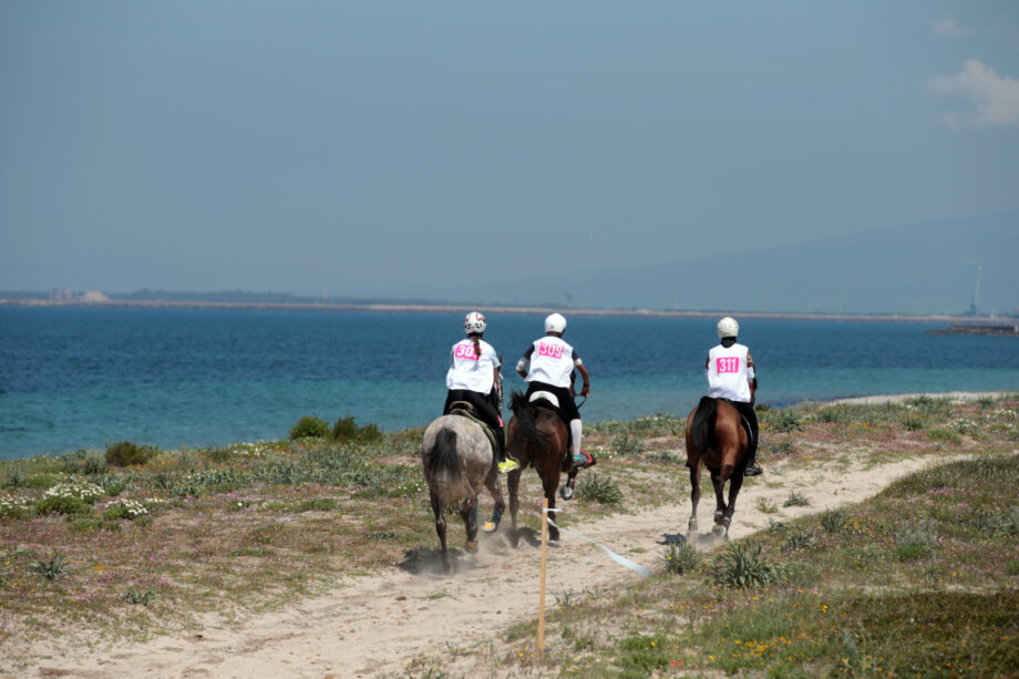 Sardegna Endurance Festival 2024. Arborea, decine di team equestri internazionali in arrivo. 2 SSE1