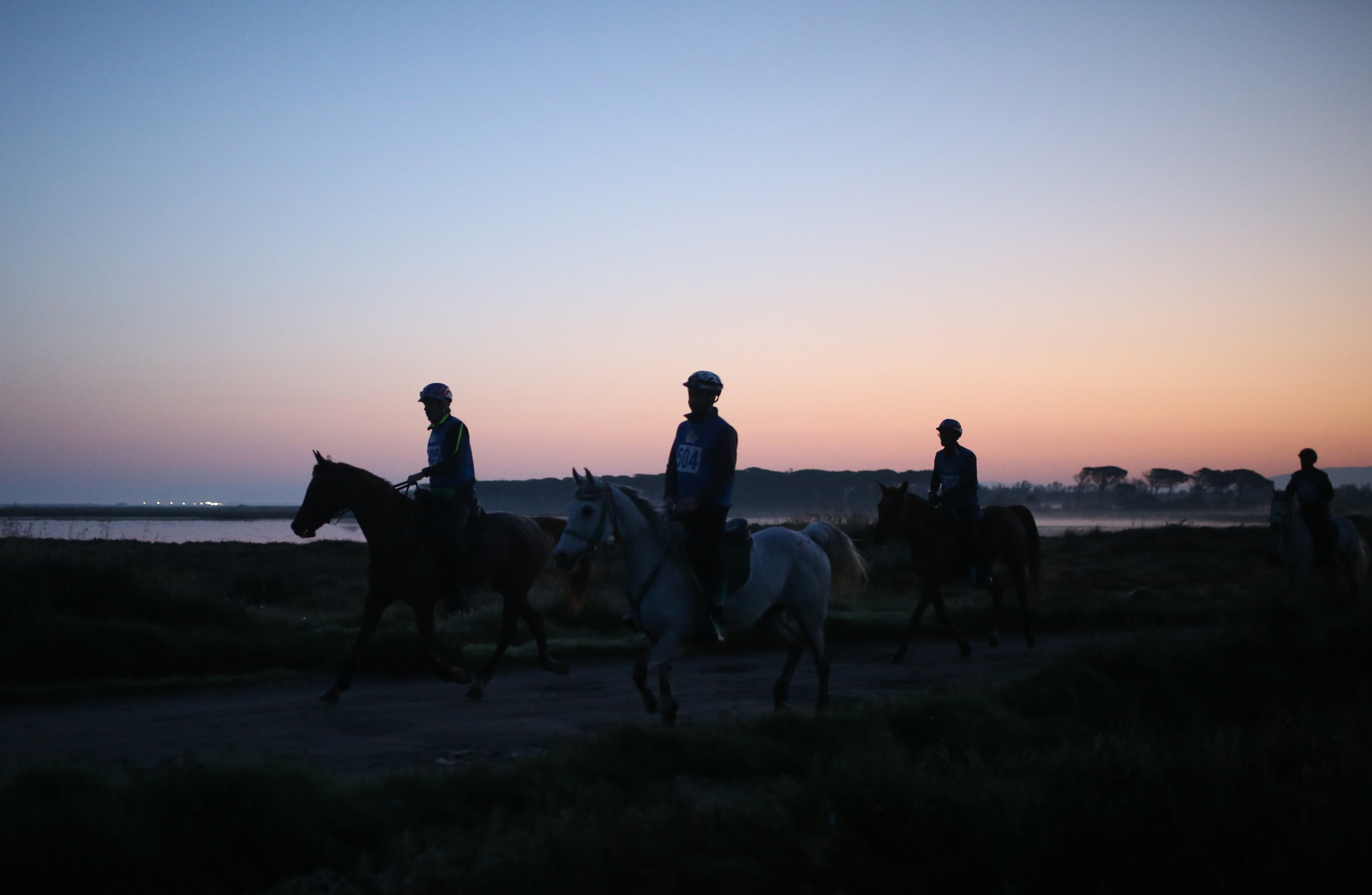 Sardegna Endurance Festival 2024. Arborea, decine di team equestri internazionali in arrivo. 1 Sardegna Endurance Festival 2024, Arborea.