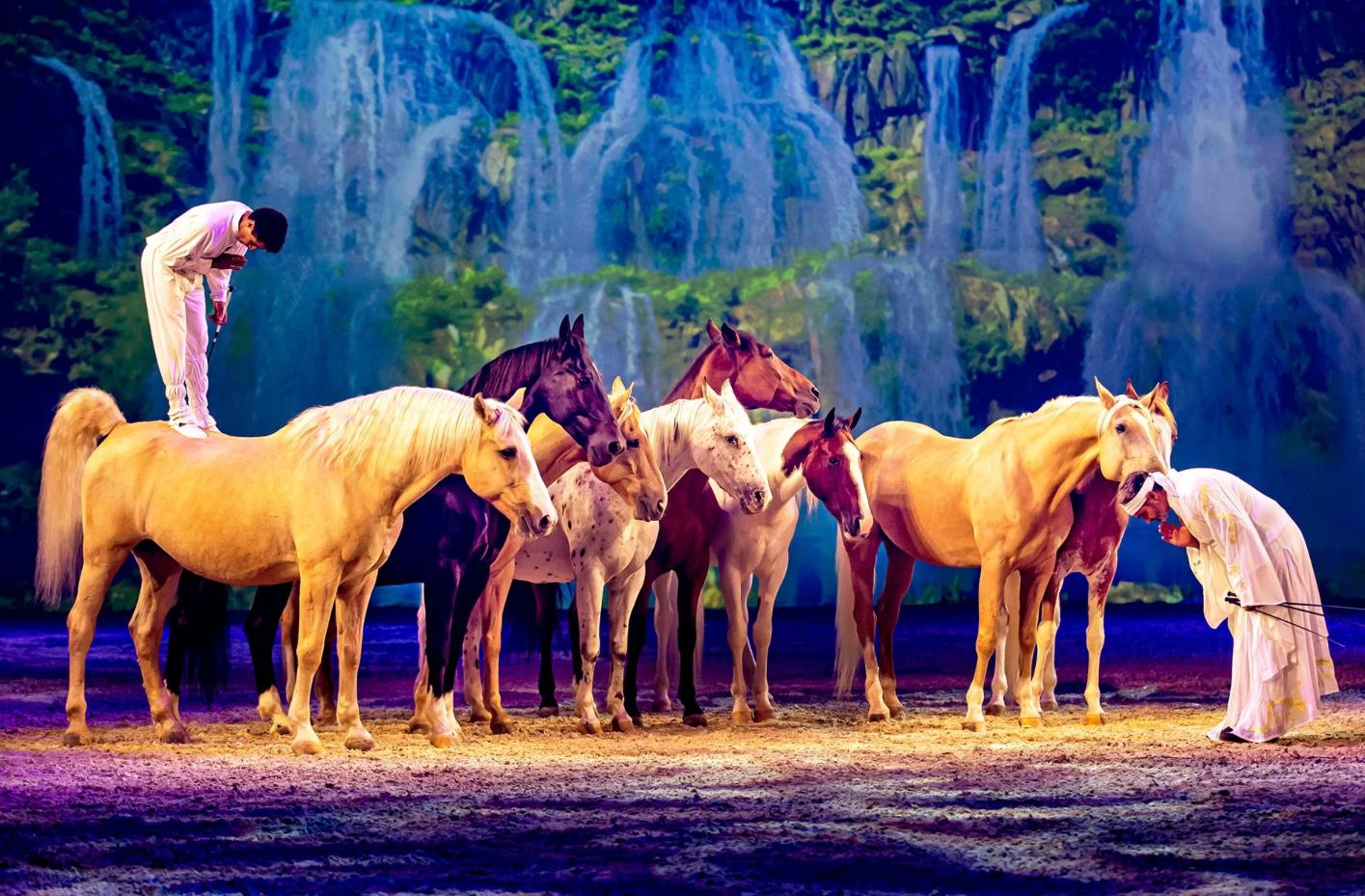 Inclusione e tradizioni in primo piano alla 54ª Mostra Nazionale del Cavallo 1 Mostra Nazionale del CAvallo