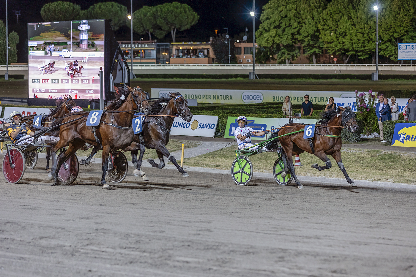 Ippodromo Cesena Trotto. 1 Ippica Cesena Trotto, Gran Premio Calzolari,