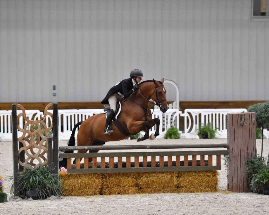 World Equestrian Center Highlights - Ocala Summer VIII. 3 articolo 2