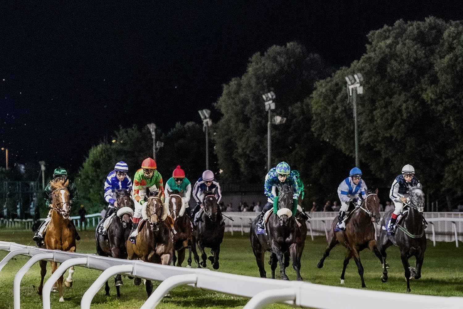 Venerdì 30 agosto: 15^ giornata all'ippodromo Caprilli di Livorno 1 Ippodromo Caprilli di Livorno