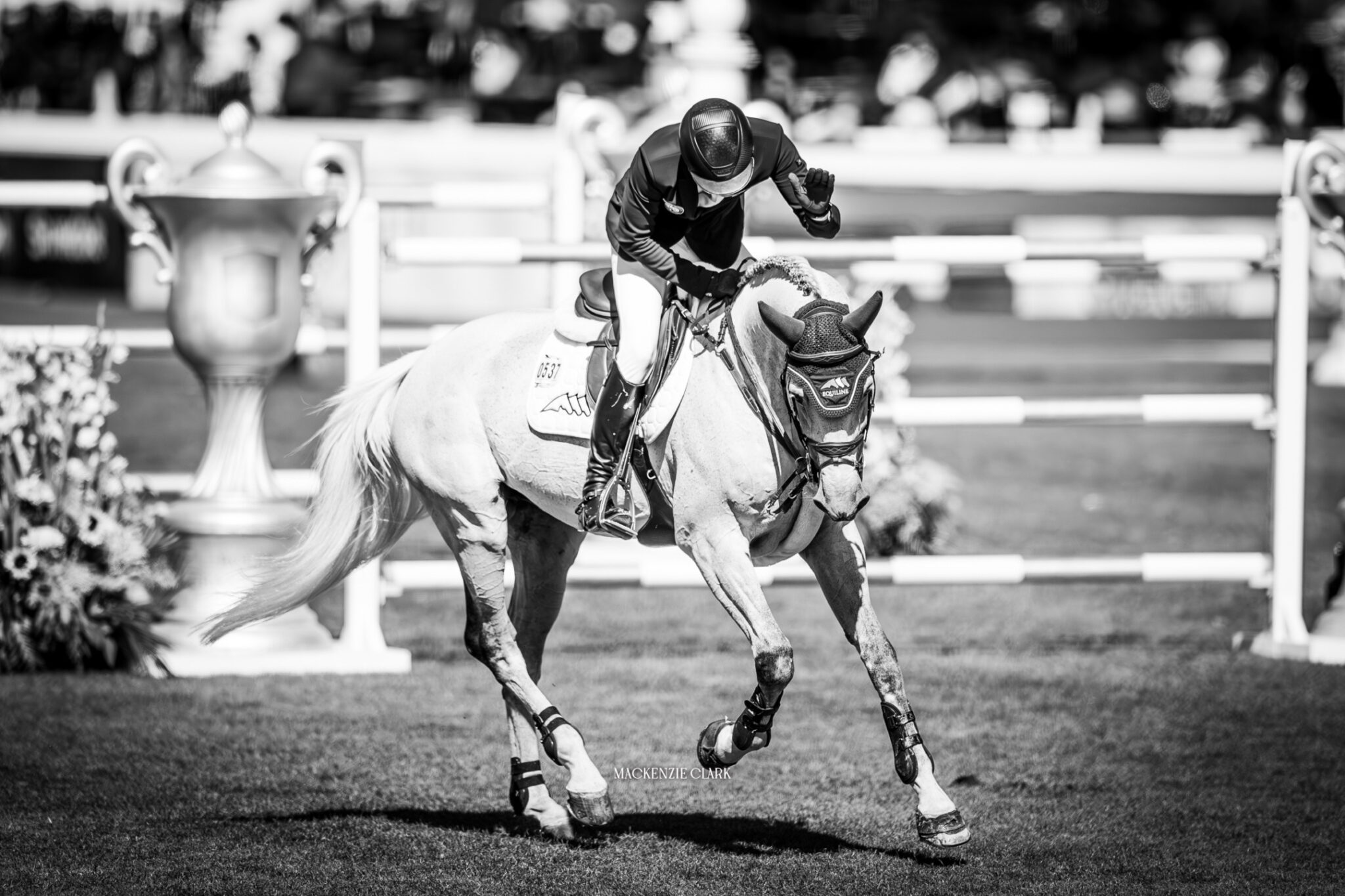 Spruce Meadows Masters’ highlights: the Rolex Grand Prix 4 080924SM MClark 15 2048x1365 1