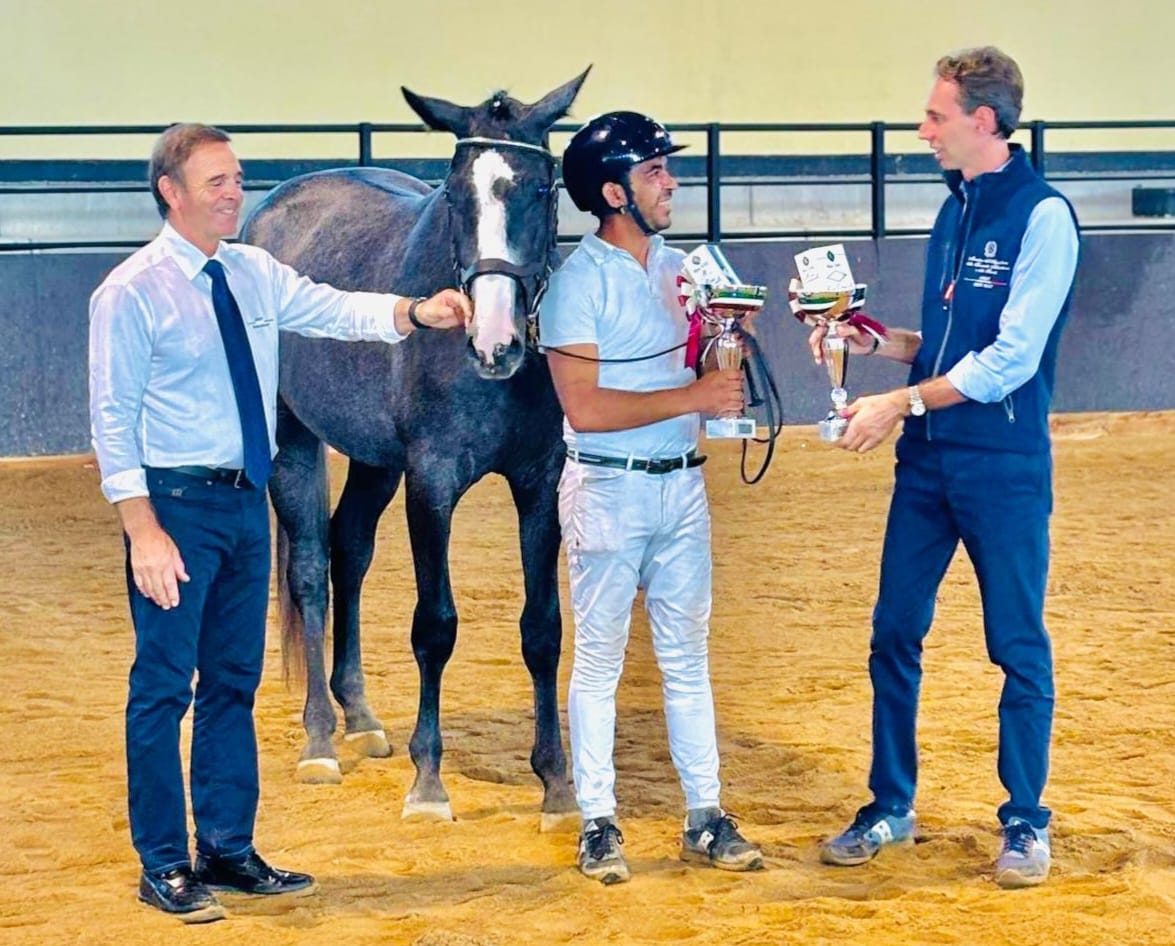 Foals, puledri di 1 e 2 anni nati ed allevati in Sardegna selezionati per la finalissima di Cervia 1 Premio Regionale sARDO FOALS 1 E 2 ANNI 2024