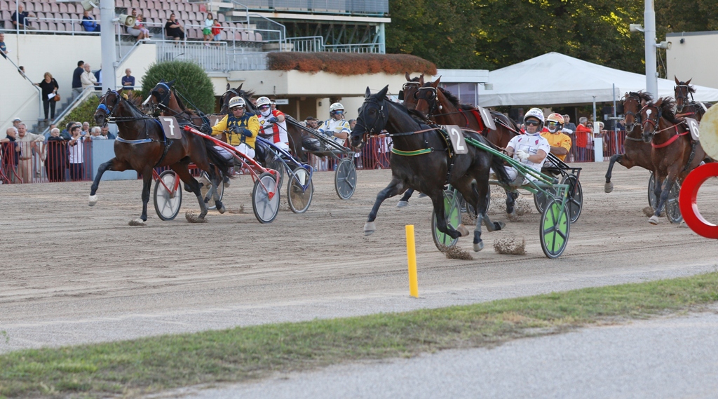 Ippodromo Arcoveggio: i risultati del 76° Gran Premio Continentale 1 Arrivo Continentale Dimitri Ferm Ippodromo dell'arcoveggio