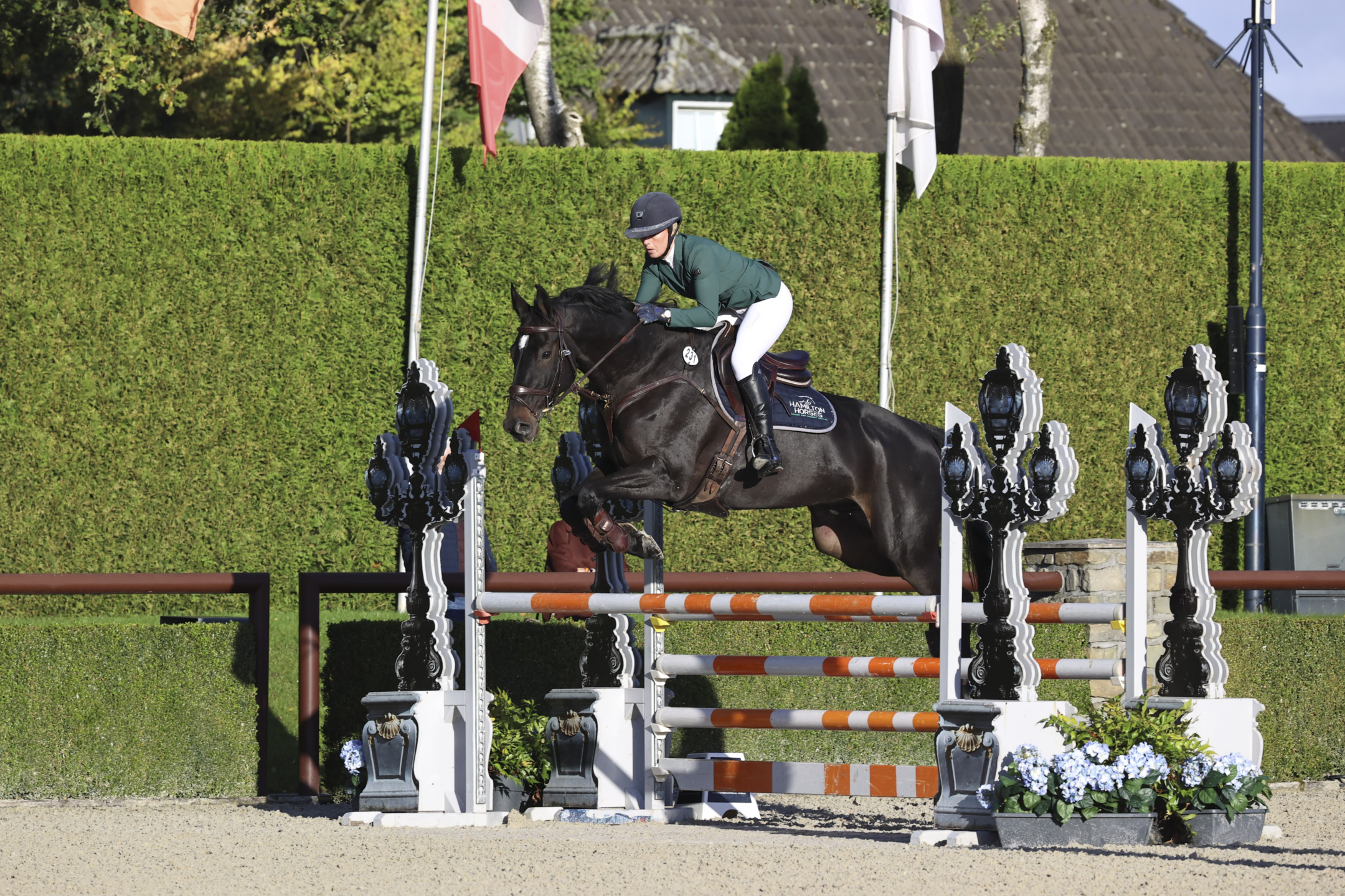 Valkenswaard: risultati del secondo giorno del WBFSH Studbooks Jumping Global Champions Trophy 2024 2 B.E. Flygold GBR Shields Isabella 01 115 CSI2 Valkenswaard 20240927 03SG7474