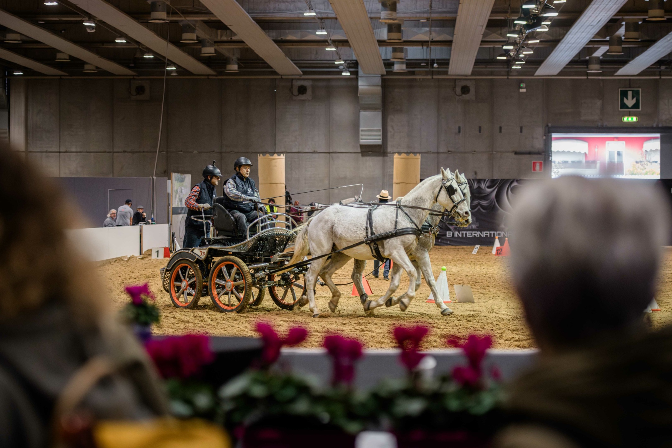 Fieracavalli presenta il mondo equestre al G7 Agricoltura e Pesca di Ortigia 2 Fieracavalli2023 EnneviFoto Veronafiere 1